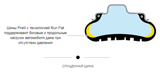 CinturatoP7_05.png
