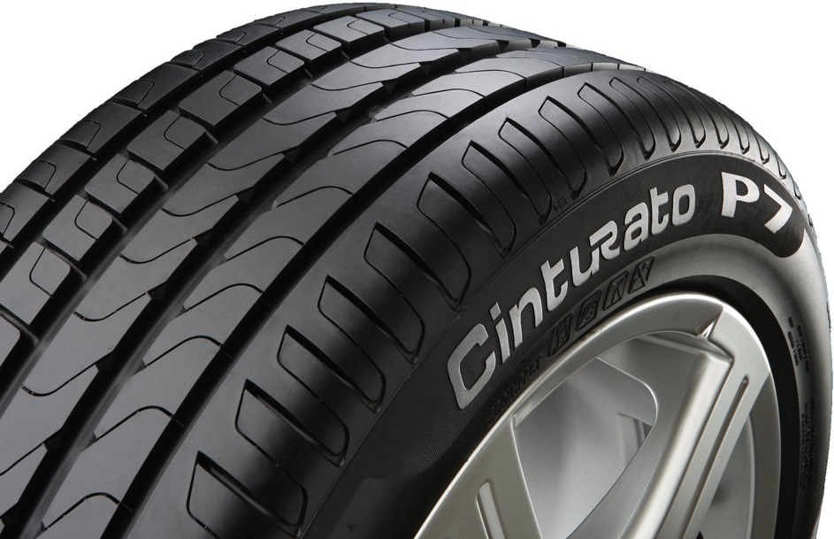 CinturatoP7_06.jpg